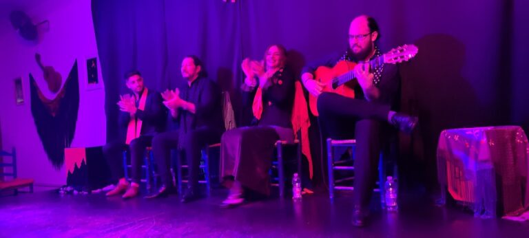Espectáculos de flamenco para eventos