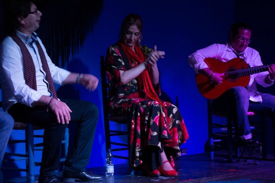 Show de flamenco para familias