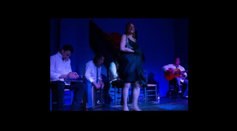 entradas para flamenco en directo en malaga_