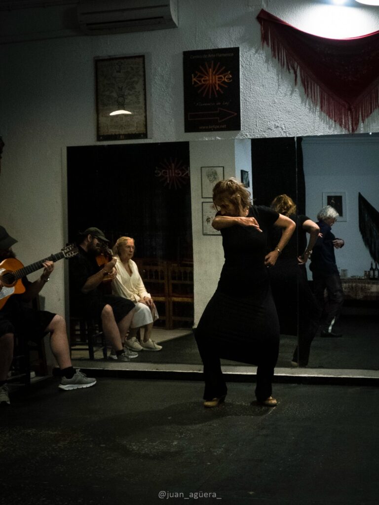 espectáculo Flamenco para grupos en Málaga