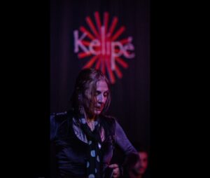 espectáculo Flamenco exclusivo Málaga