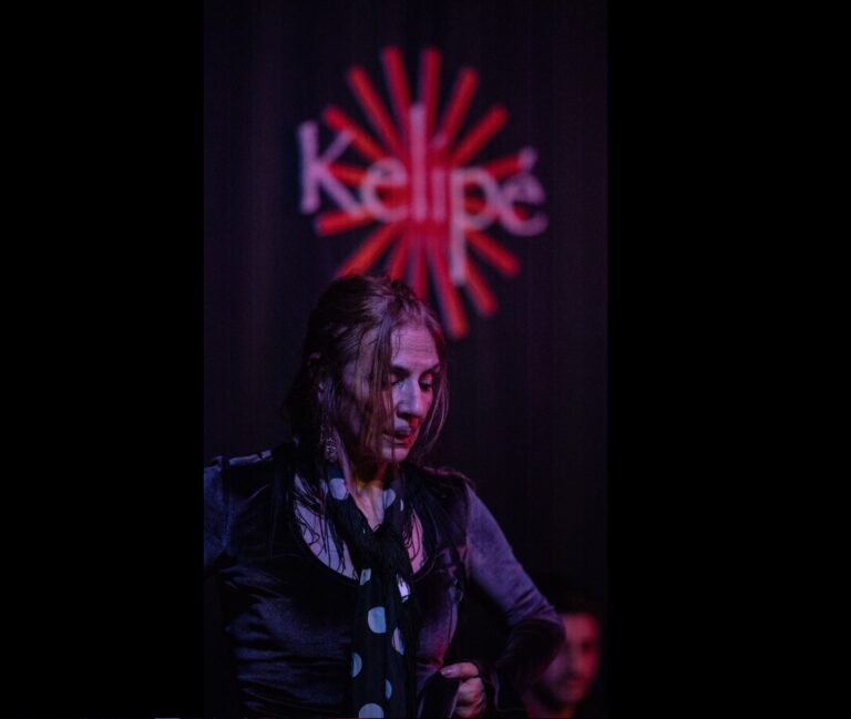 espectáculo Flamenco exclusivo Málaga