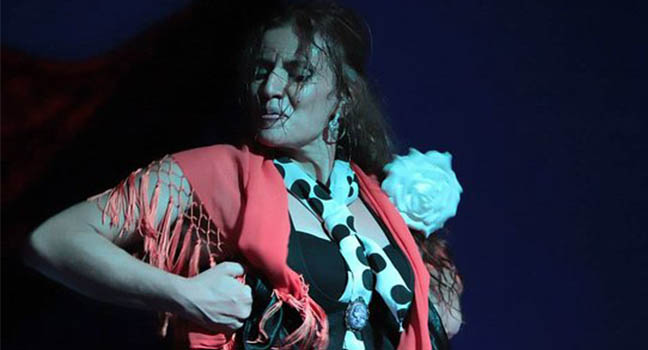 Flamenco no turístico