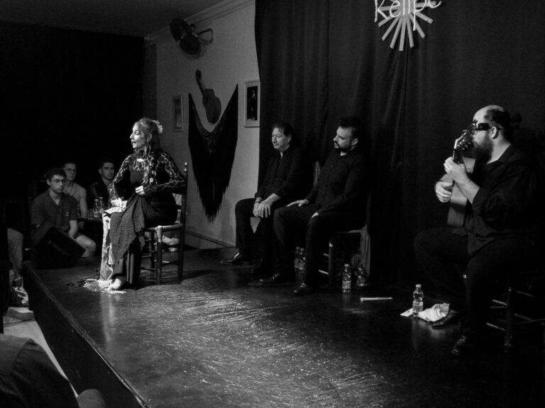 Flamenco en Málaga centro entradas