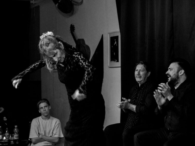 entradas espectáculo Flamenco Málaga