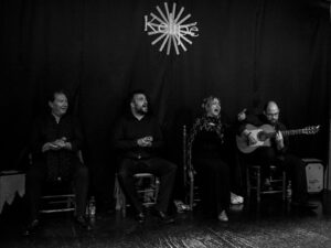 el valor del flamenco