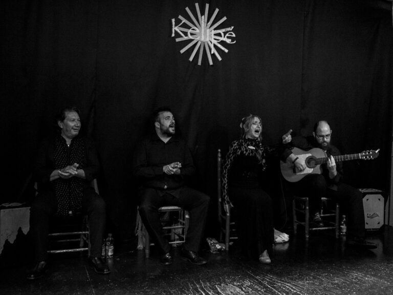 el valor del flamenco