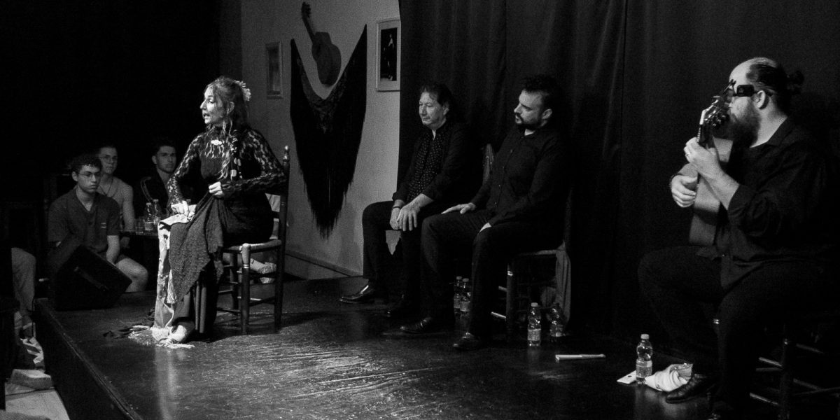 Flamenco en Málaga centro entradas