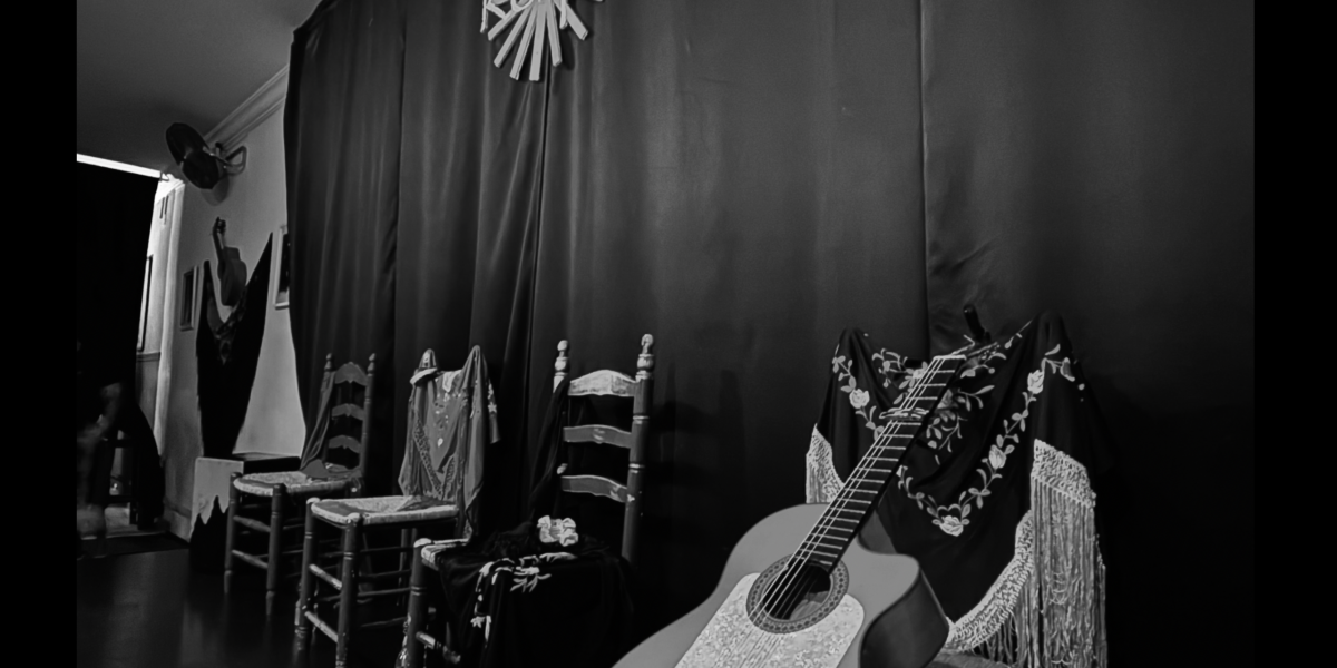 clases de Flamenco y guitarra en Málaga