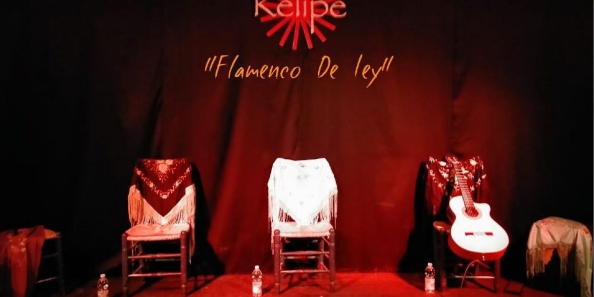 espectaculos flamenco en navidad_2