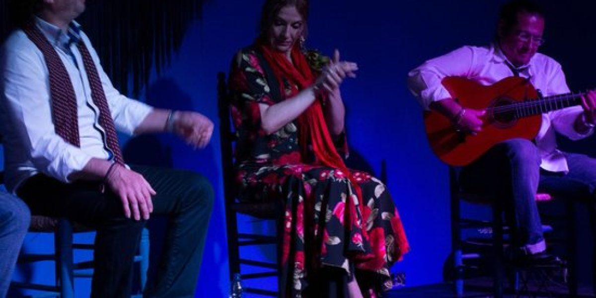 Show de flamenco para familias